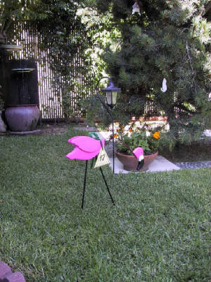 flamingo.jpg