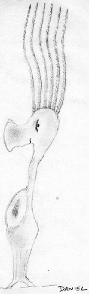 img009.jpg