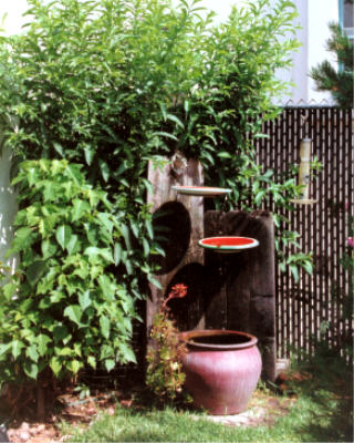 fountain.jpg